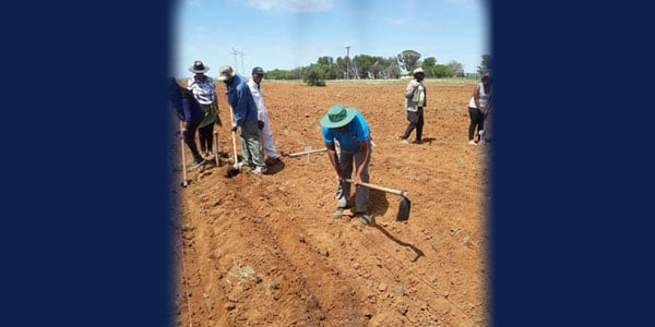 Overcoming the obstacles in the way of Africa’s female farmers